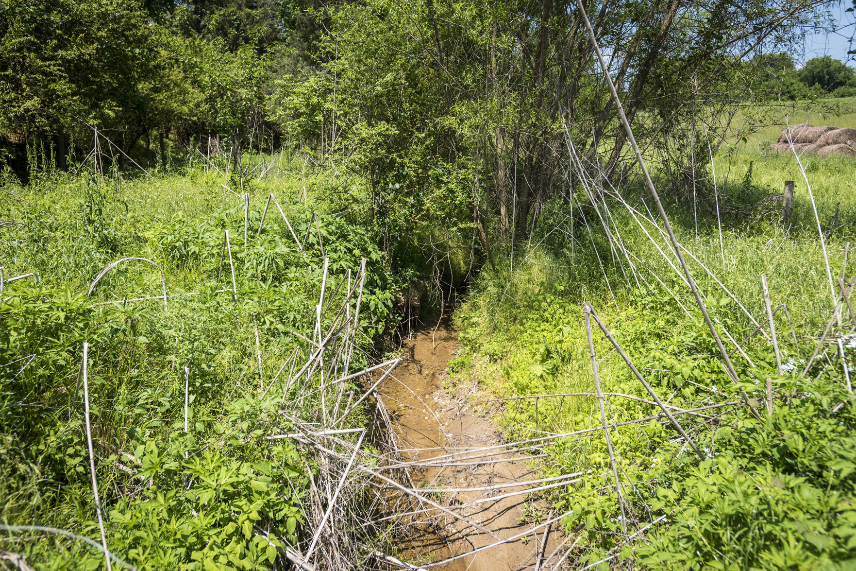 Easement